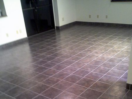 Commercial Tile with Sanitary Base